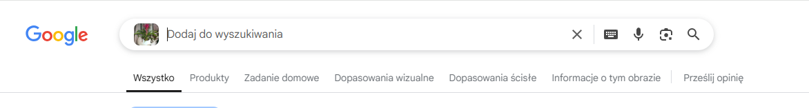 wyszukiwanie po obrazie